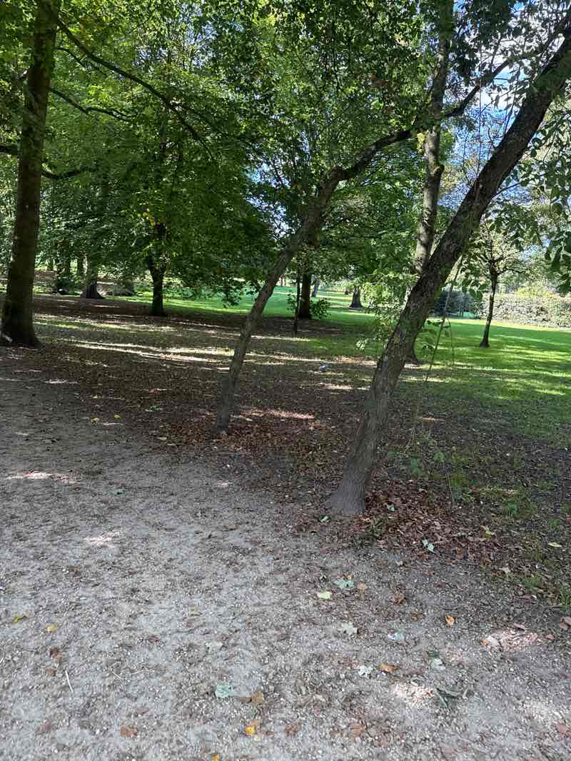 walking near me in Bantock Park in autumn