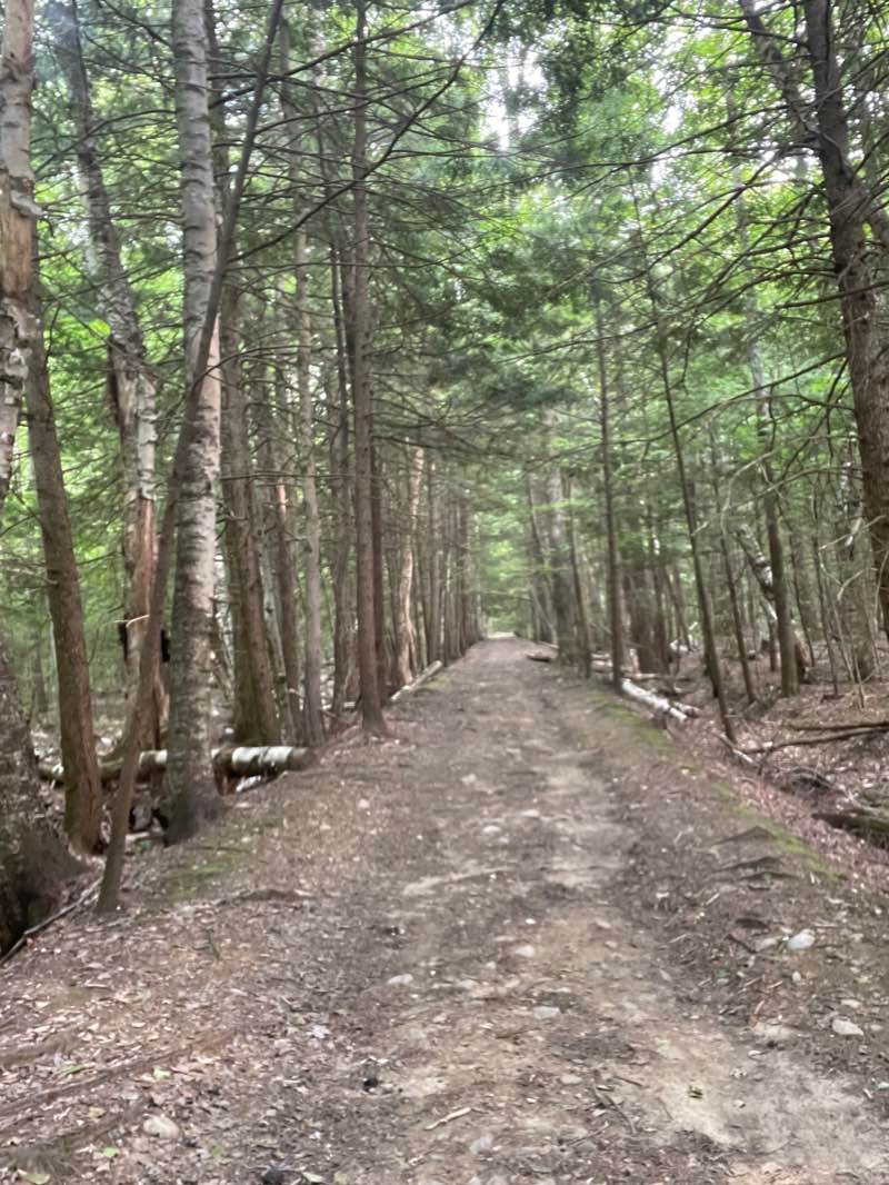 walking near me in Lye Brook Wilderness in winter