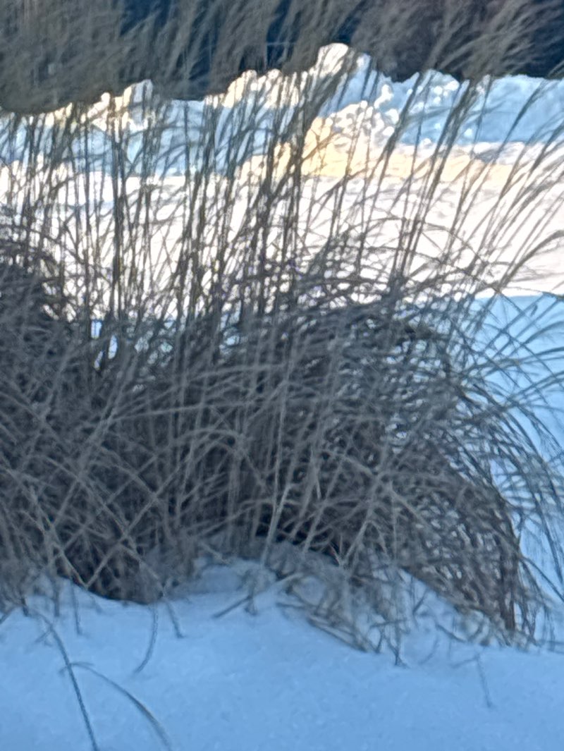 walking near me in School Street / River Road Park in winter