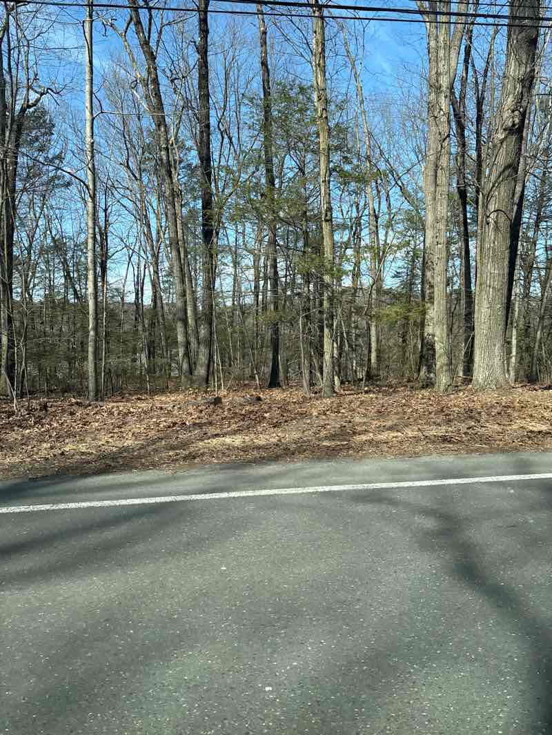 walking near me in Robinson State Park in spring