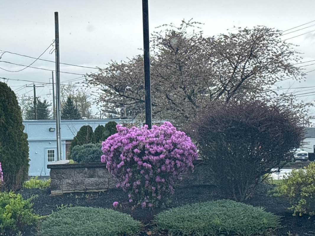 walking near me in McGrath's Park in spring