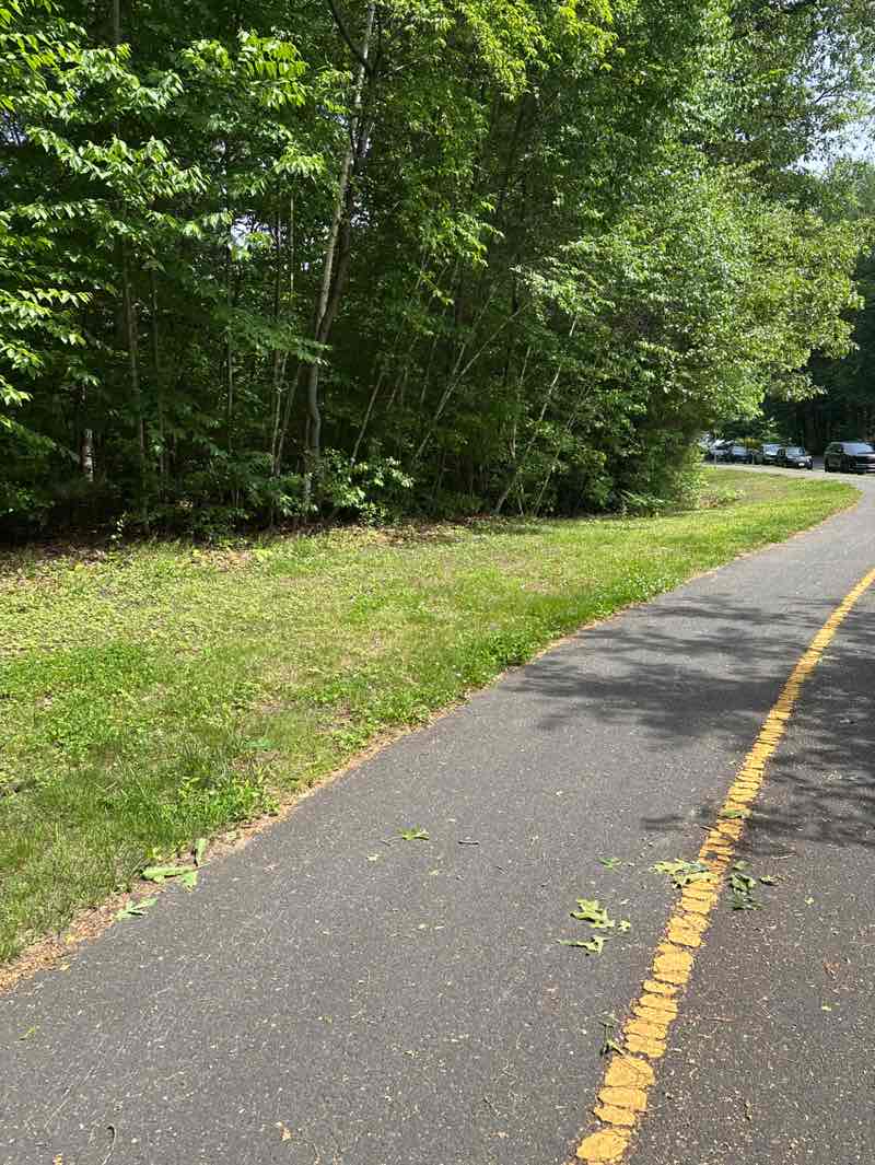 walking near me in Rail Trail in summer