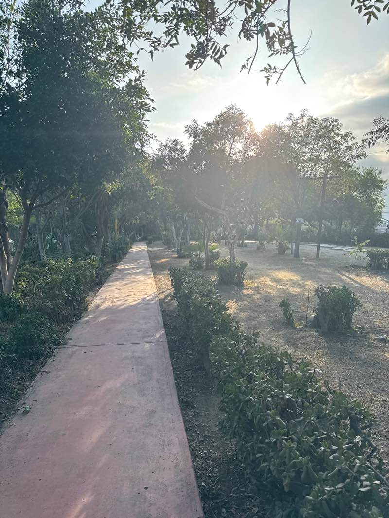 walking near me in Parque El Prado in summer