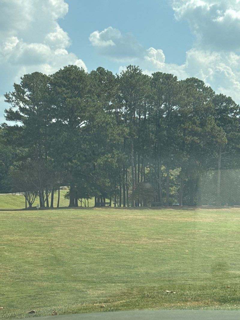 walking near me in Collins Hill Park in autumn