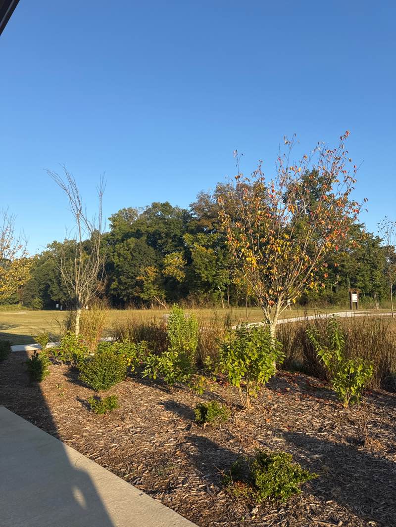 walking near me in Chattahoochee River National Recreation Area in autumn