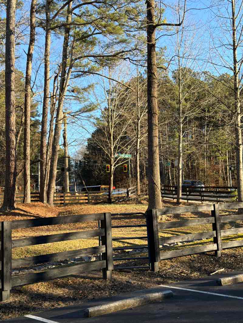 walking near me in Sims Lake Park in winter