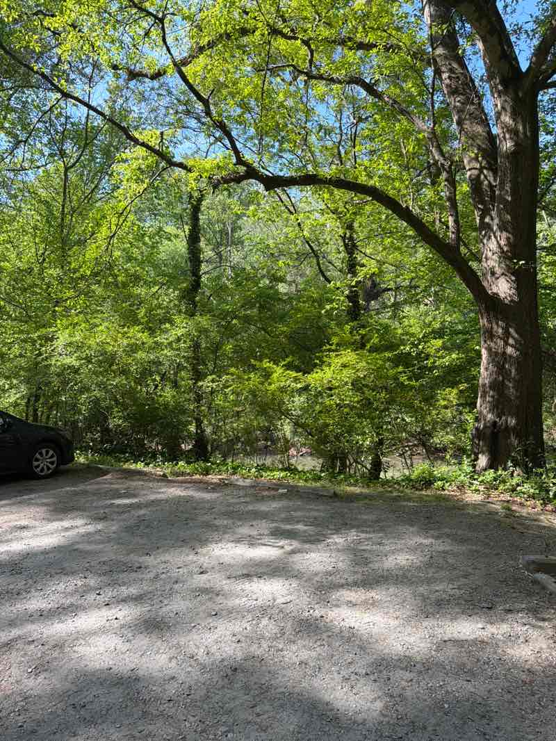 walking near me in Chattahoochee River National Recreation Area in spring