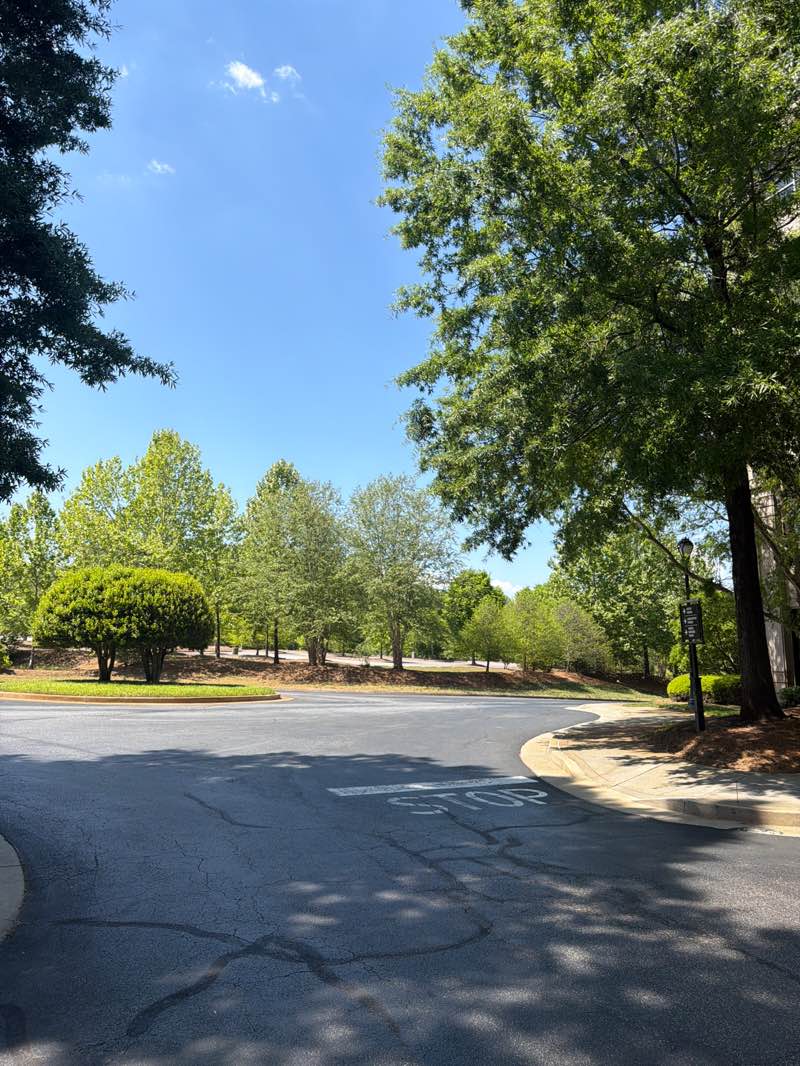 walking near me in Mansell Overlook in spring