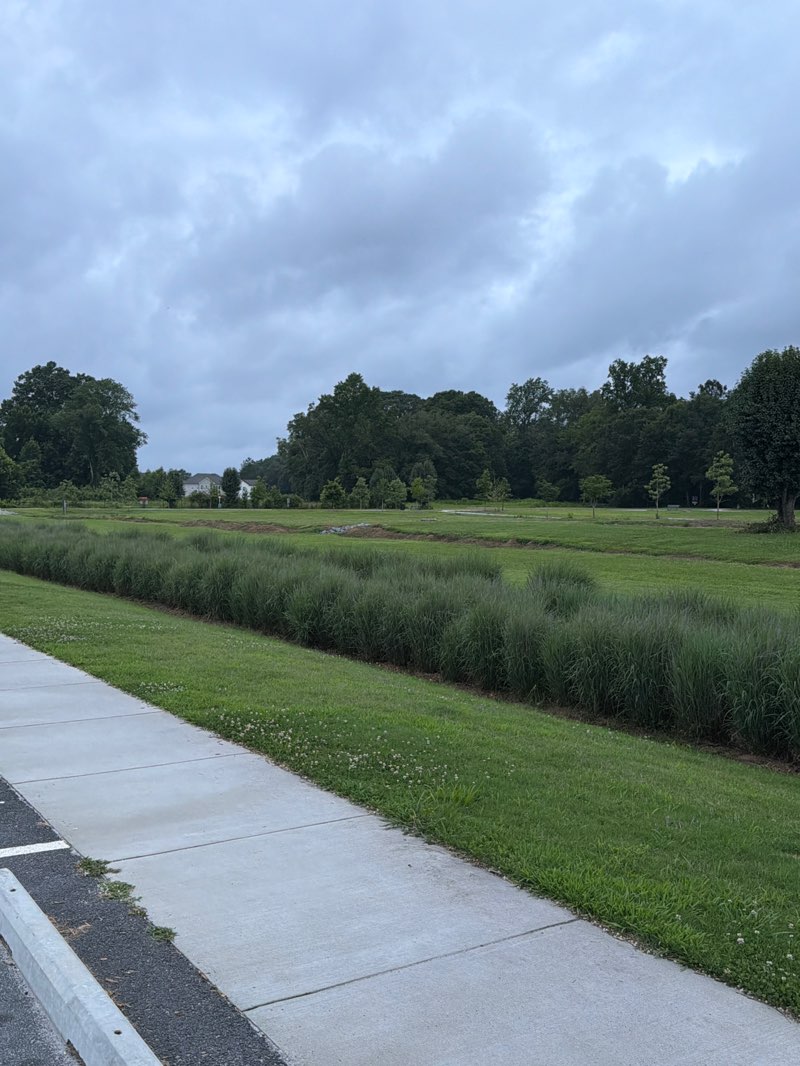 walking near me in Chattapoochee Dog Park in summer