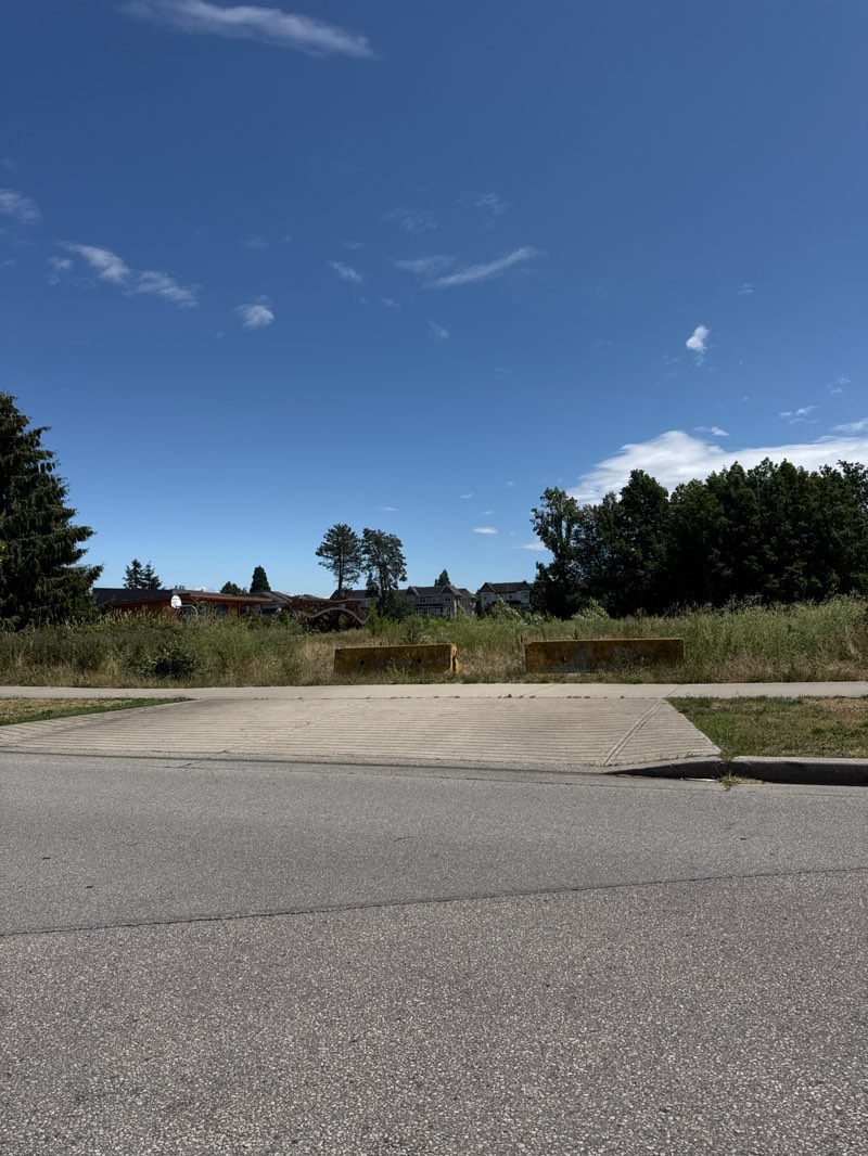 walking near me in Alexandra Neighbourhood Park in summer