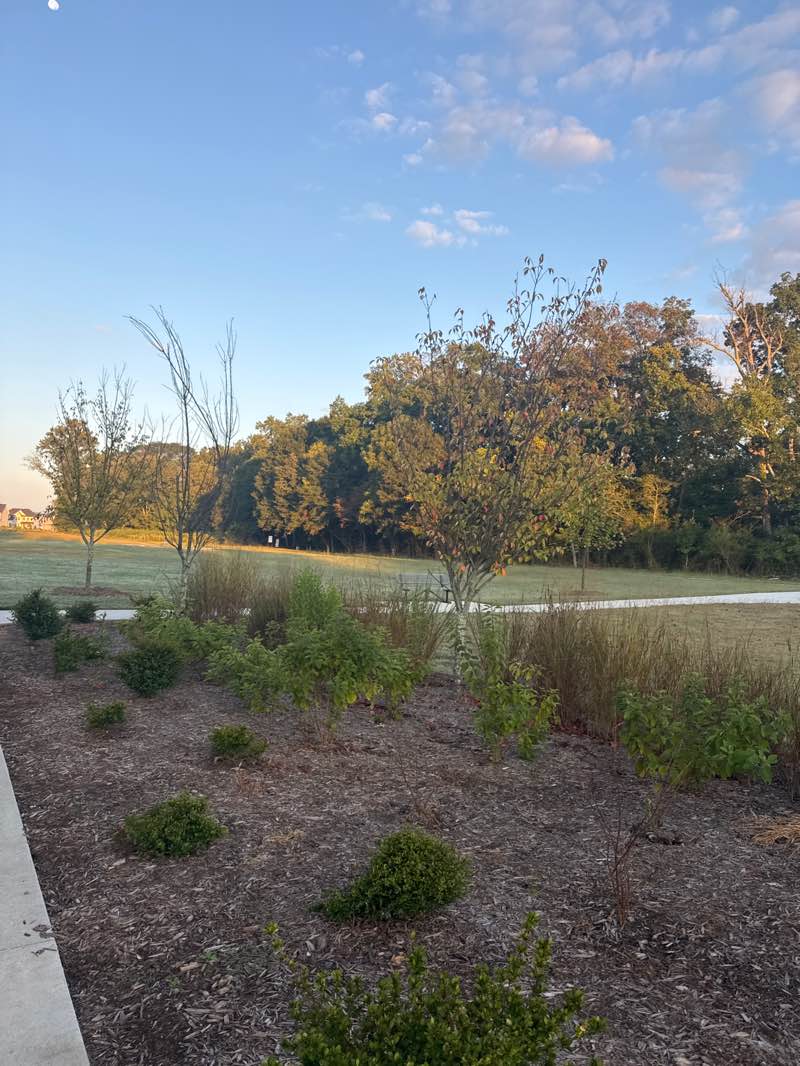 walking near me in Chattapoochee Dog Park in autumn