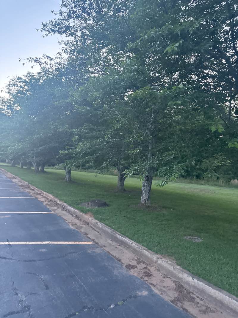 walking near me in Chattahoochee River National Recreation Area in summer