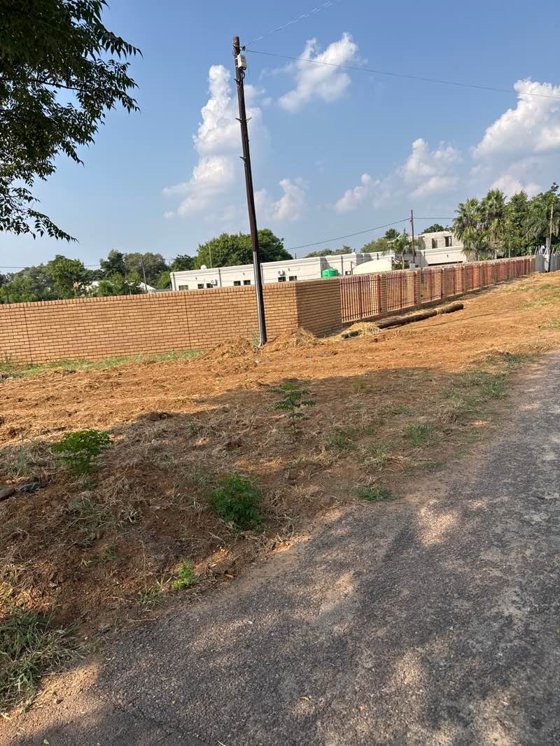 walking near me in Russian Embassy Park in autumn