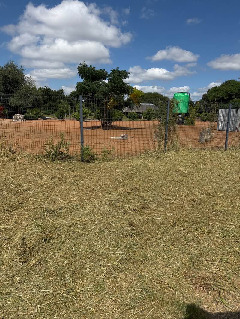 walking near me in Morakanelo Park in autumn