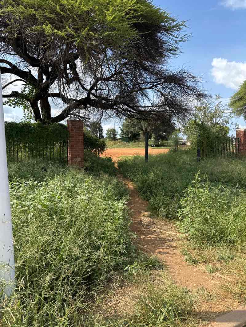 walking near me in Tsolofelo Hall Park in autumn
