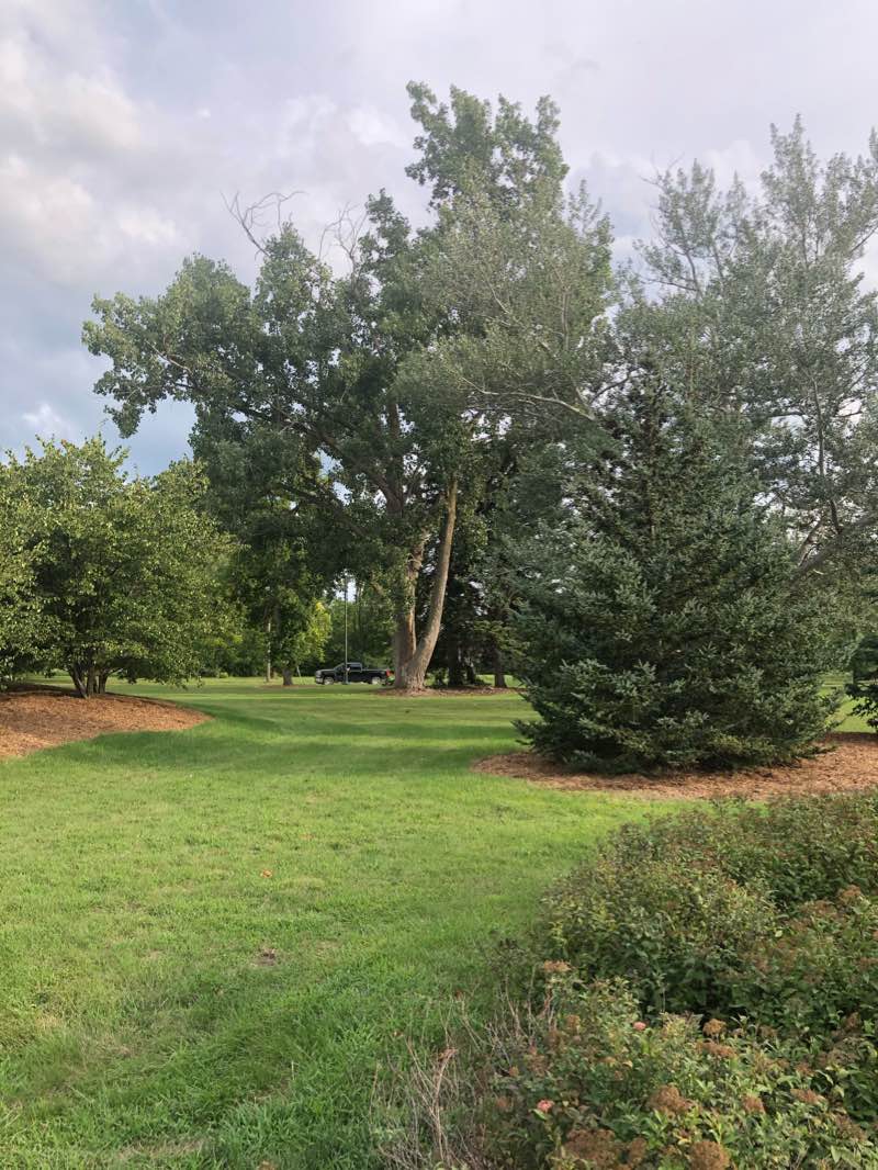 walking near me in Fournie Park in winter