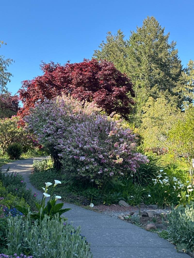 walking near me in Azalea Park in spring