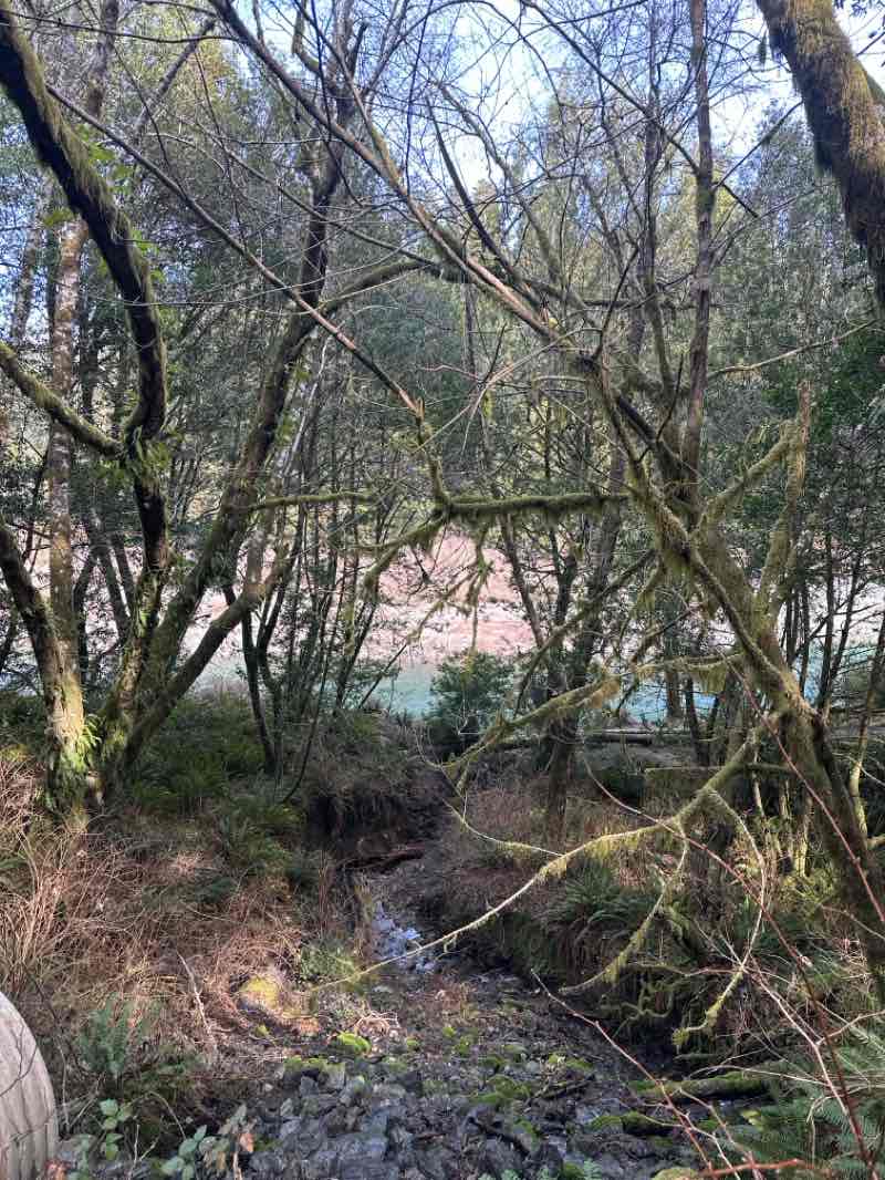 walking near me in Alfred A Loeb State Park in winter