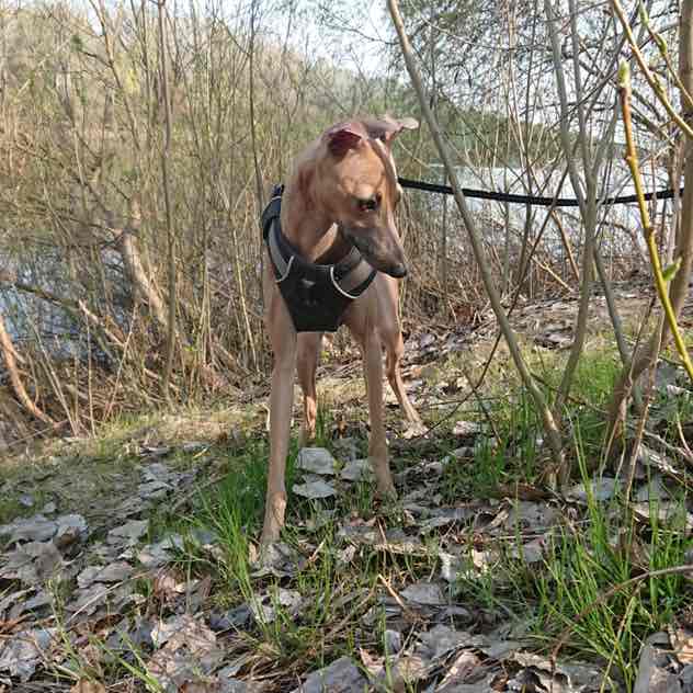 Юлія 🇺🇦 post 1