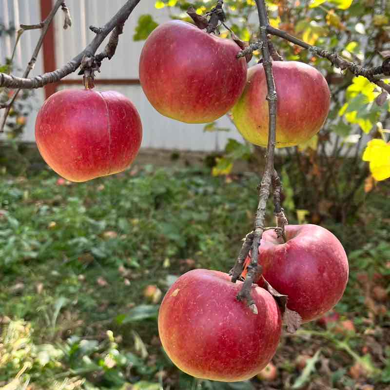 Юлія 🇺🇦 post 1