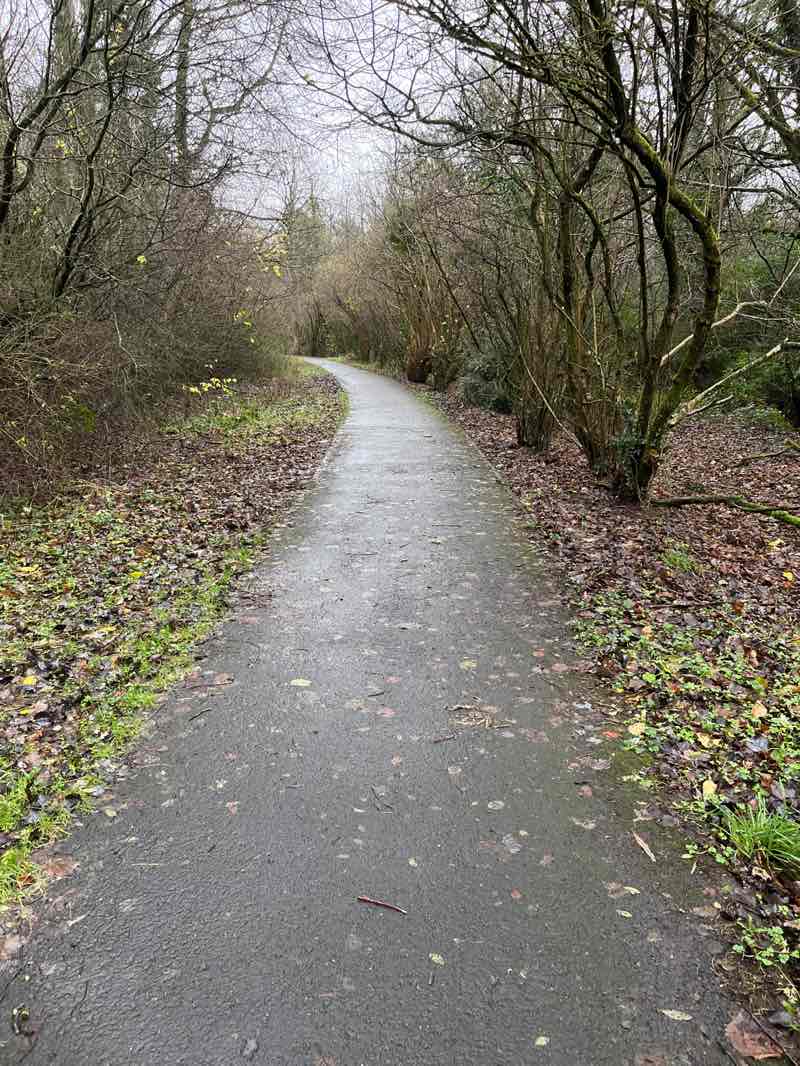 walking near me in Bourtreehill Park in winter