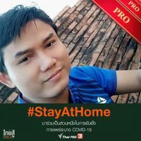 Wirichart 002755 profile