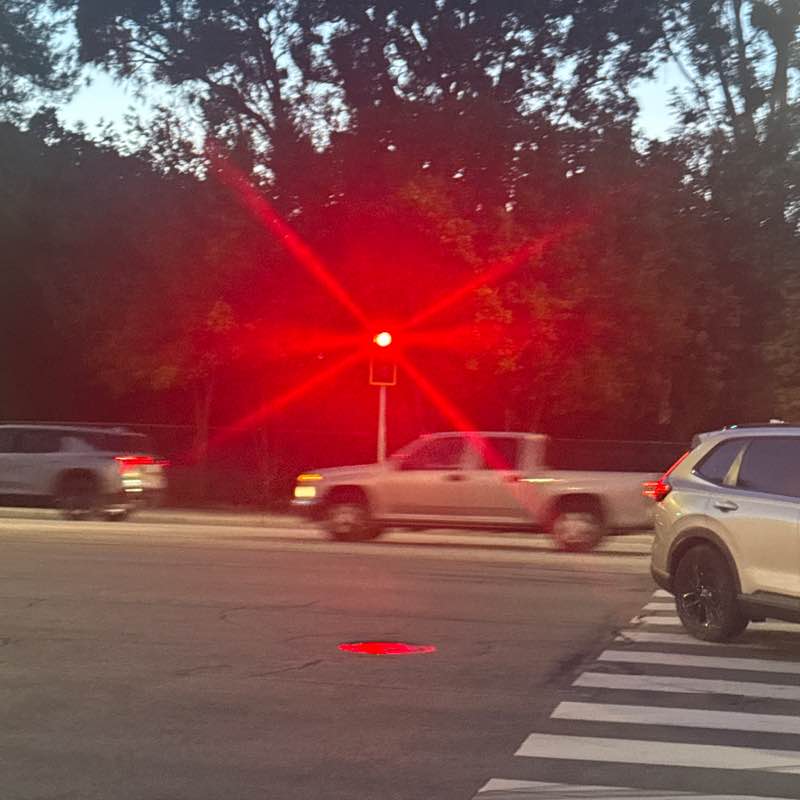 Jasmine post 1