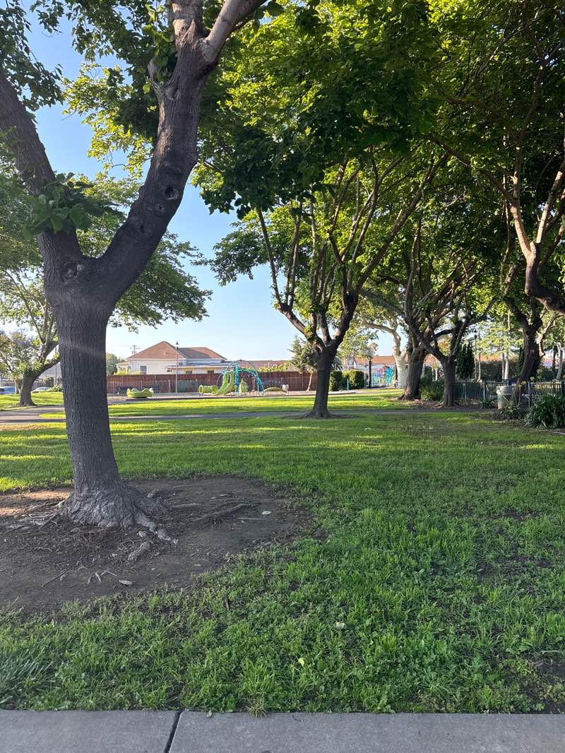 walking near me in Old Alvarado/Cesar Chavez Park in spring