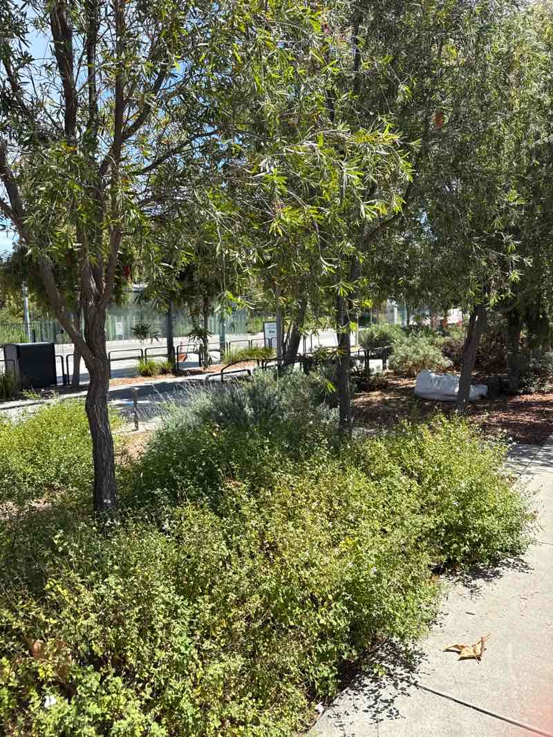 walking near me in Charleston Park in summer
