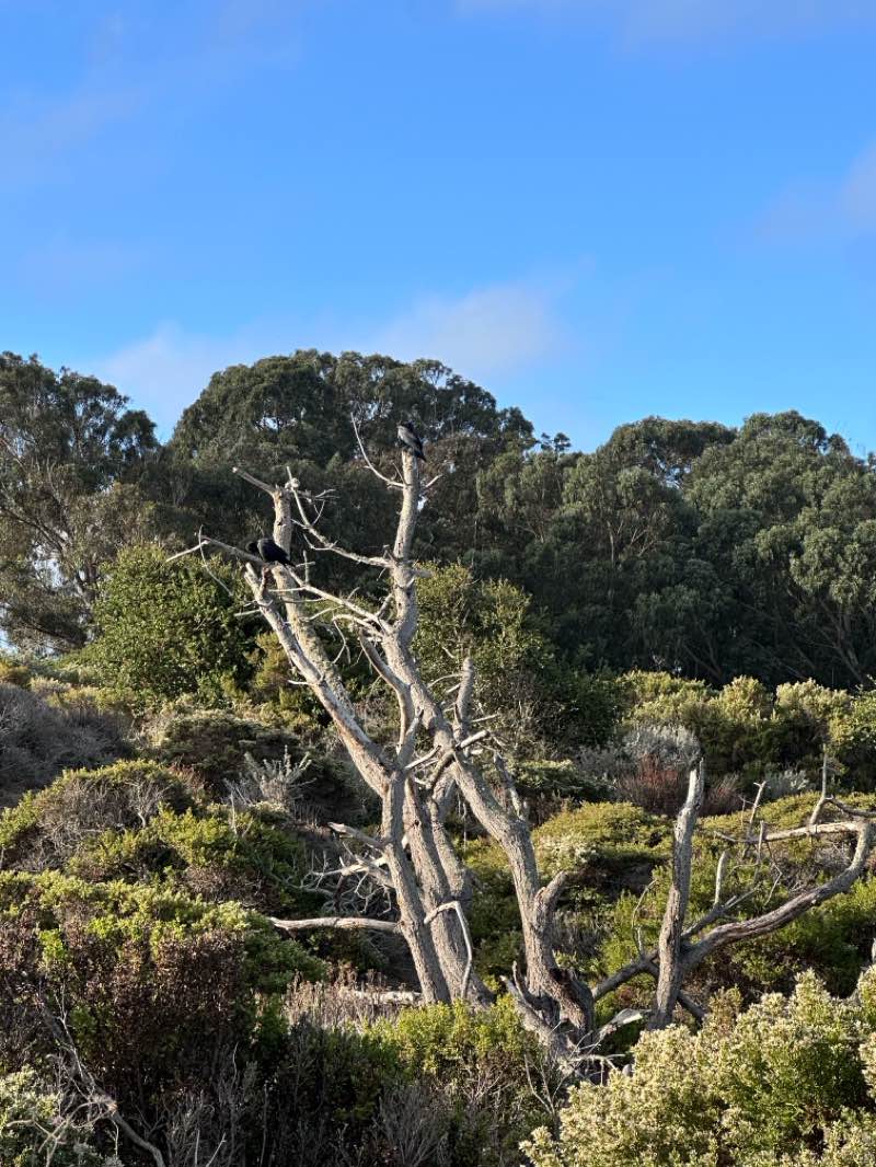 walking near me in Monterey State Historic Park in autumn