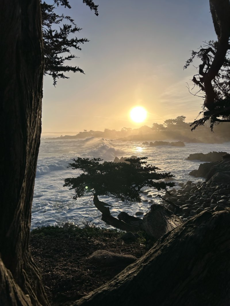 walking near me in Lover's Point Park in autumn