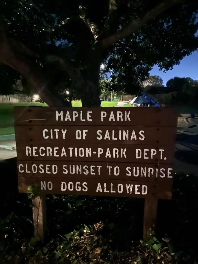 walking near me in Clarmont Manor Park in autumn