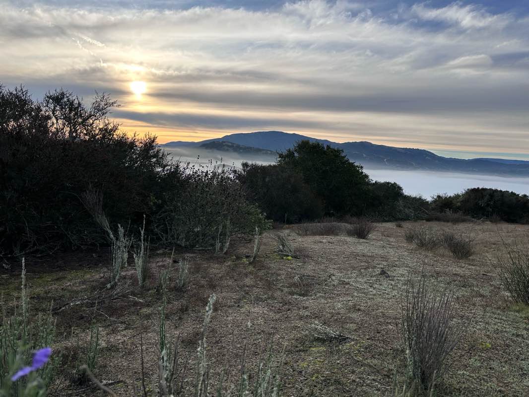 walking near me in Fort Ord National Monument in autumn