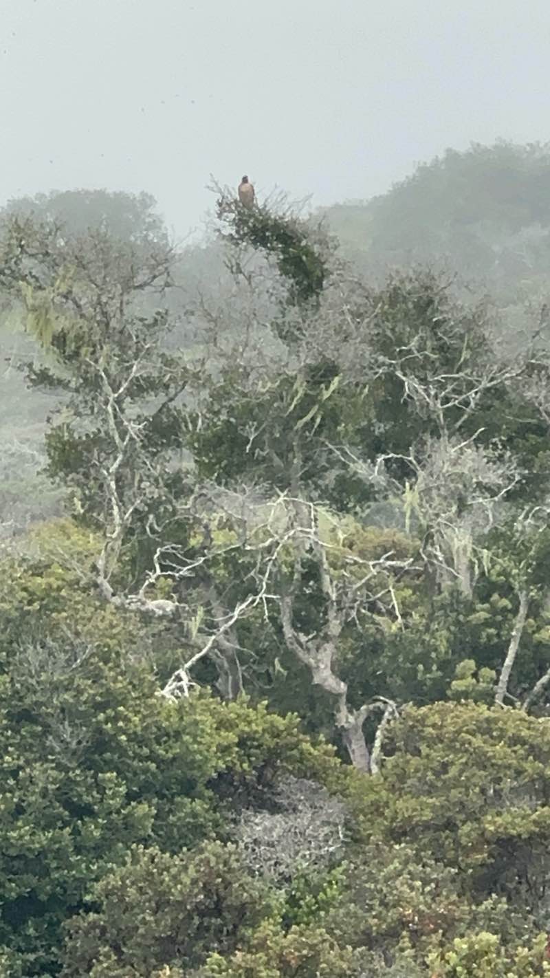 walking near me in Fort Ord National Monument in summer