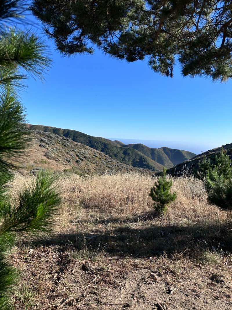 walking near me in Garrapata State Park in summer