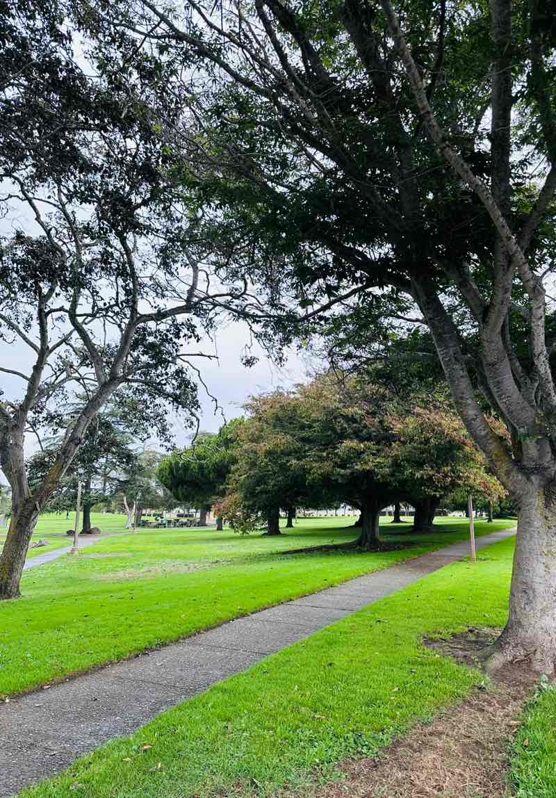 walking near me in El Dorado Community Park in autumn