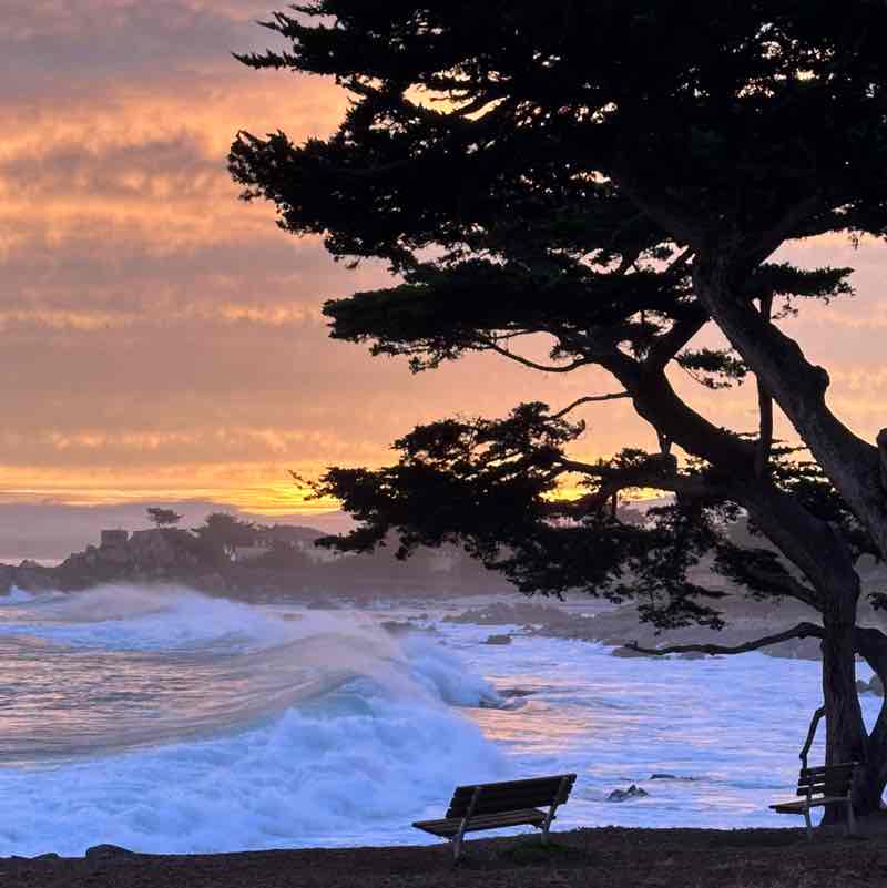 🌿WALKING VIEWS🌿 Emmerich post image