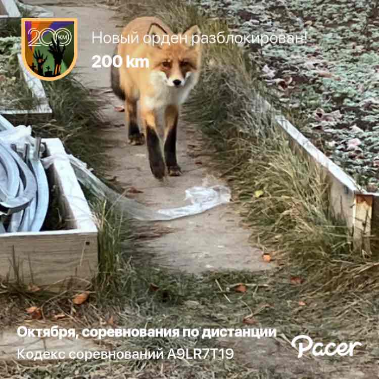 Pavel 🇷🇺 Красноярск post 1