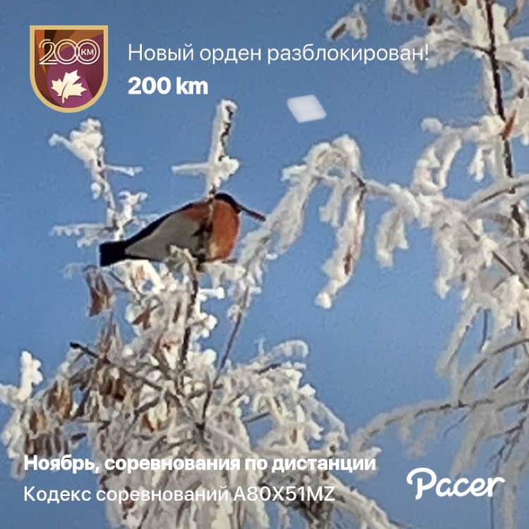 Pavel 🇷🇺 Красноярск post 1