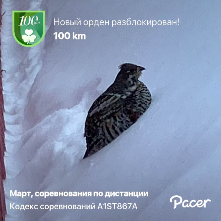 Pavel 🇷🇺 Красноярск post 1