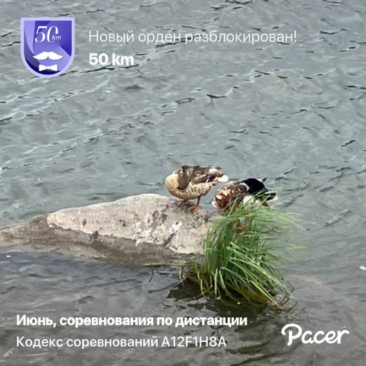 Pavel 🇷🇺 Красноярск post 1