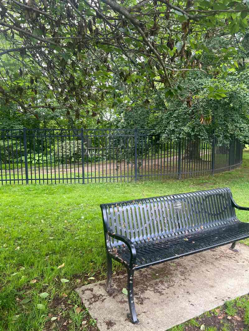 walking near me in Centennial Gardens in spring
