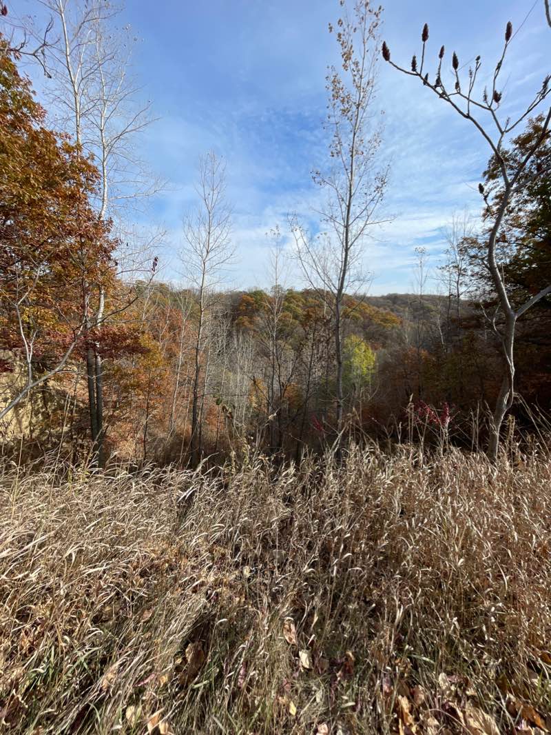 walking near me in Seven Mile Creek County Park in winter
