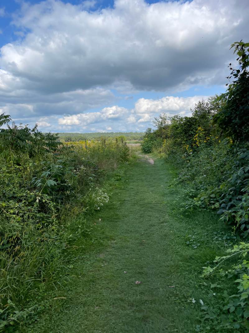 walking near me in Minneopa State Park in winter