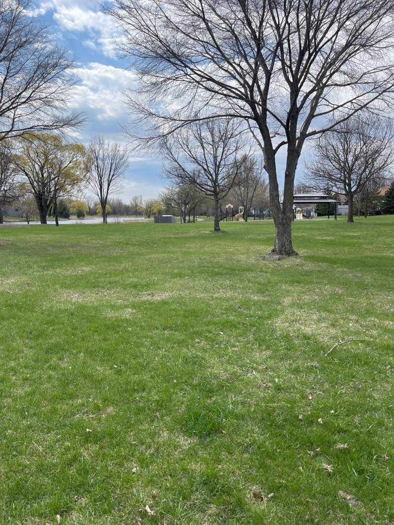 walking near me in Lions Park in spring