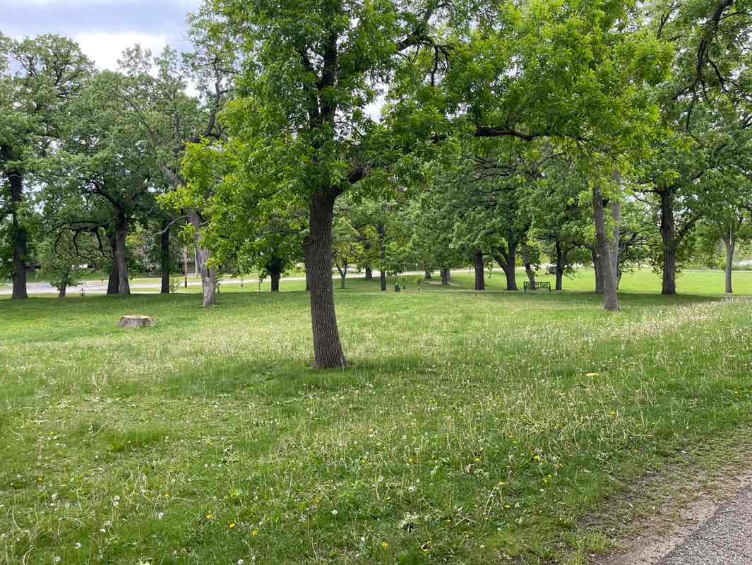 walking near me in Rosland Park in spring