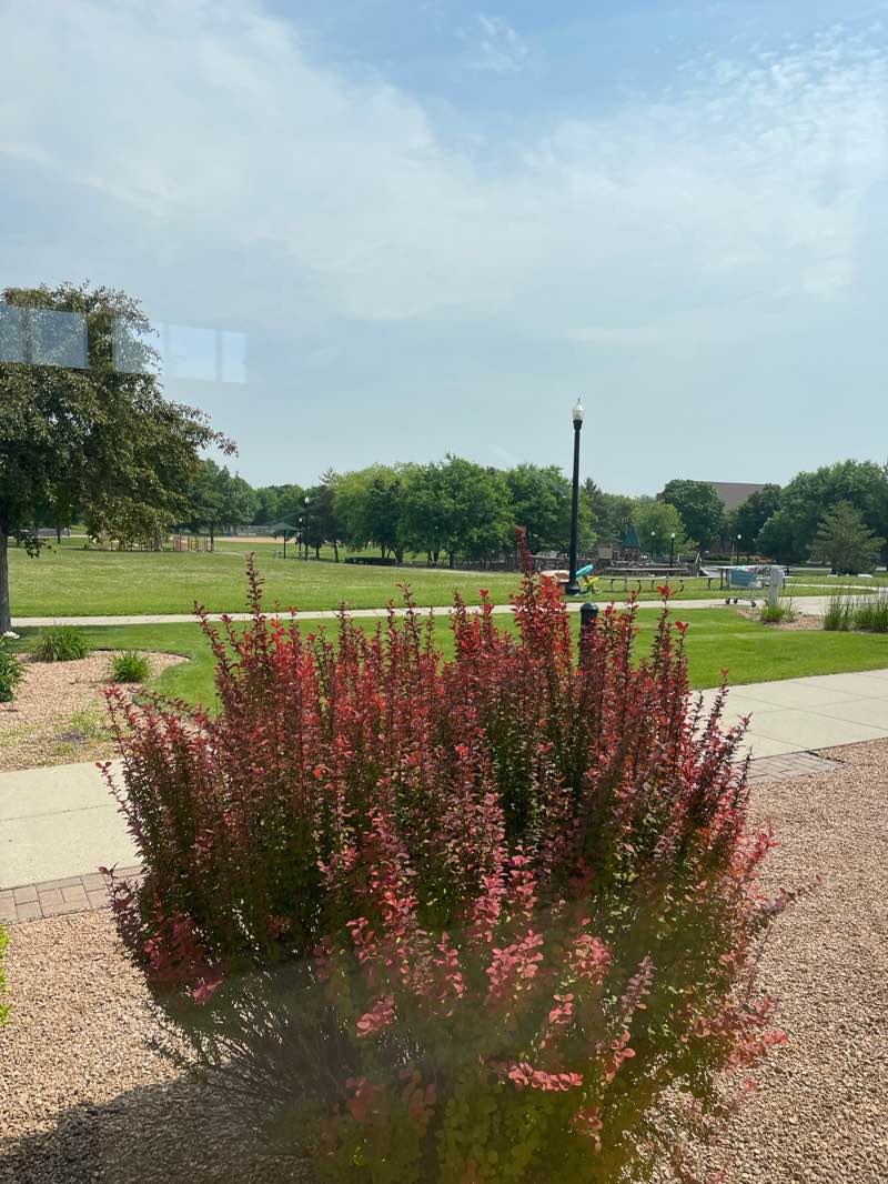 walking near me in Gorman Park in summer