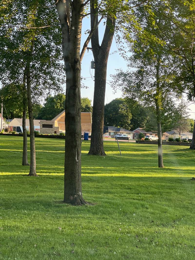 walking near me in Wheeler Park in summer
