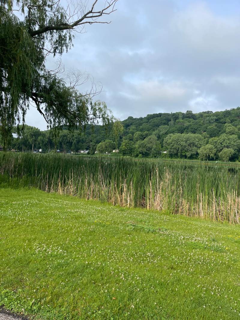 walking near me in Spring Lake Park in summer