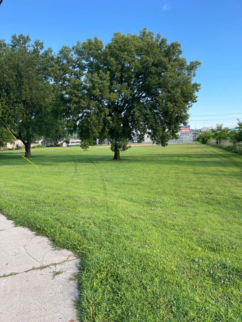 walking near me in Wallyn Park in autumn